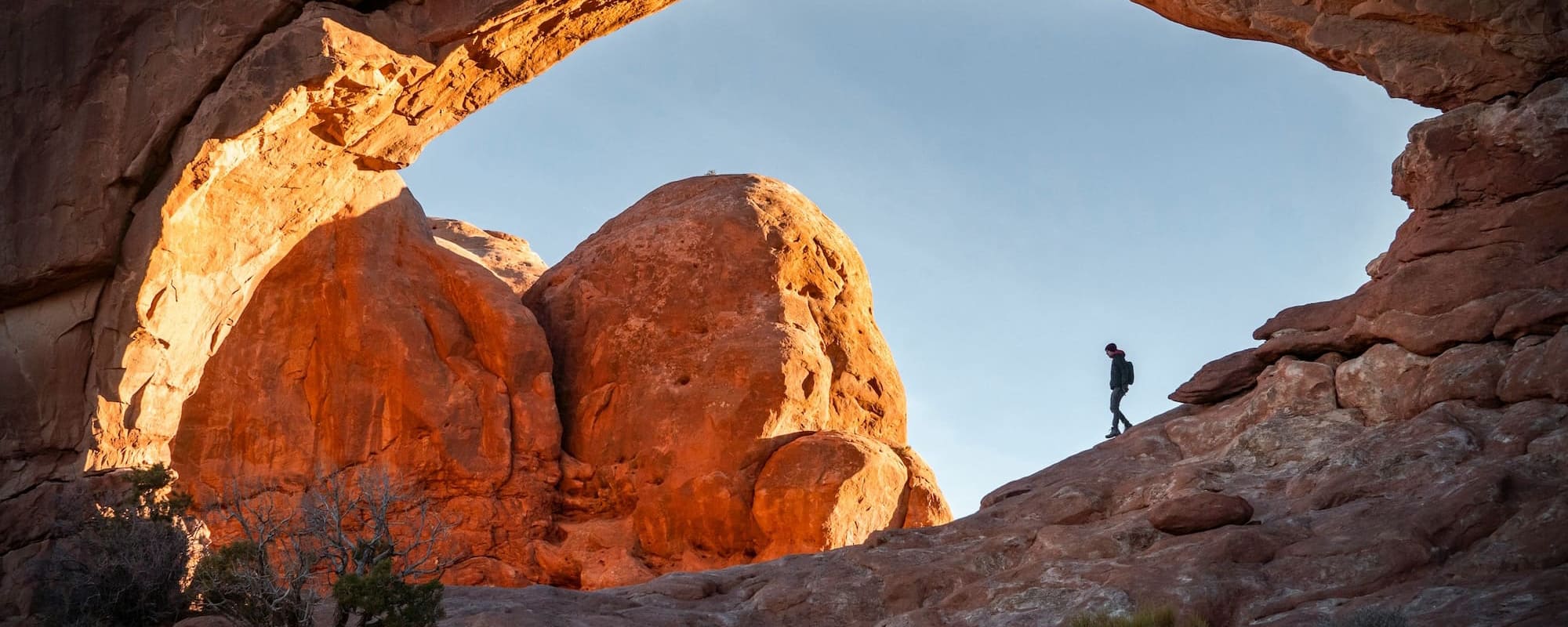 intricate-explorer-OtfVkOWUbGQ-unsplash (1)