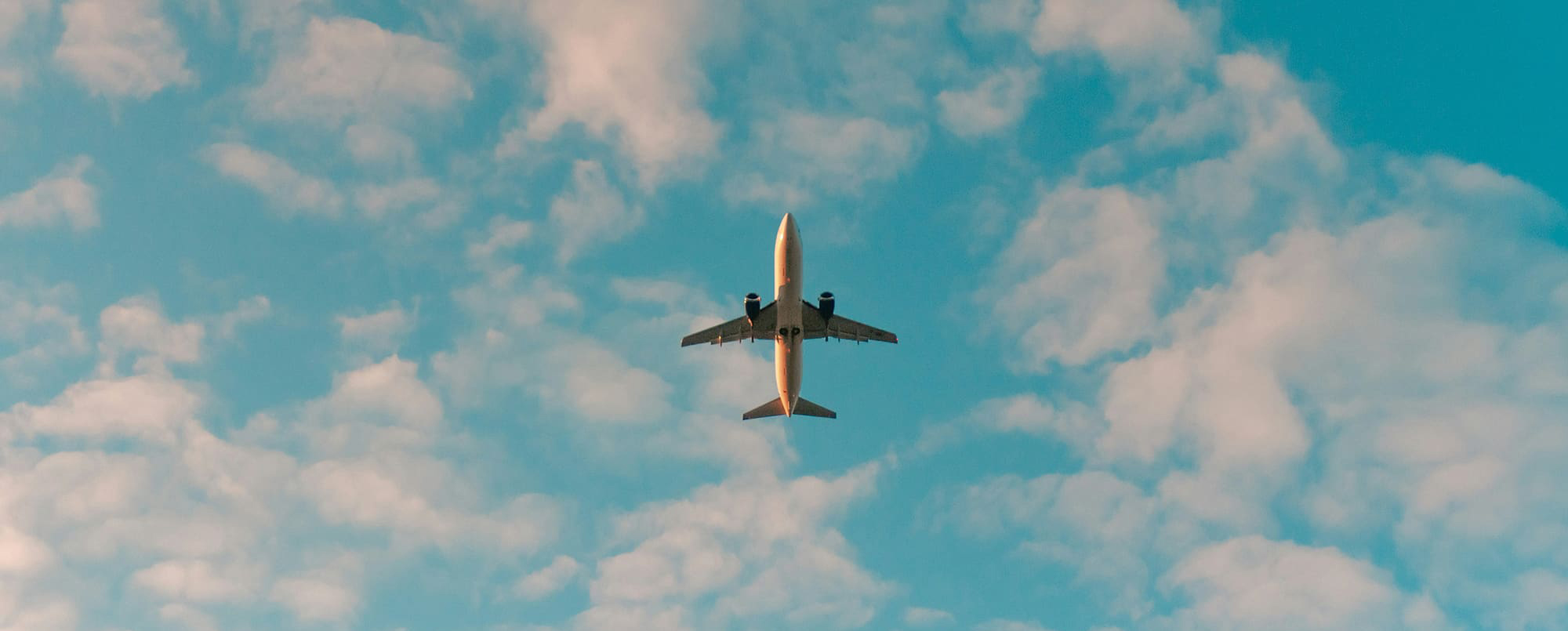 philip-myrtorp-iiqpxCg2GD4-unsplash